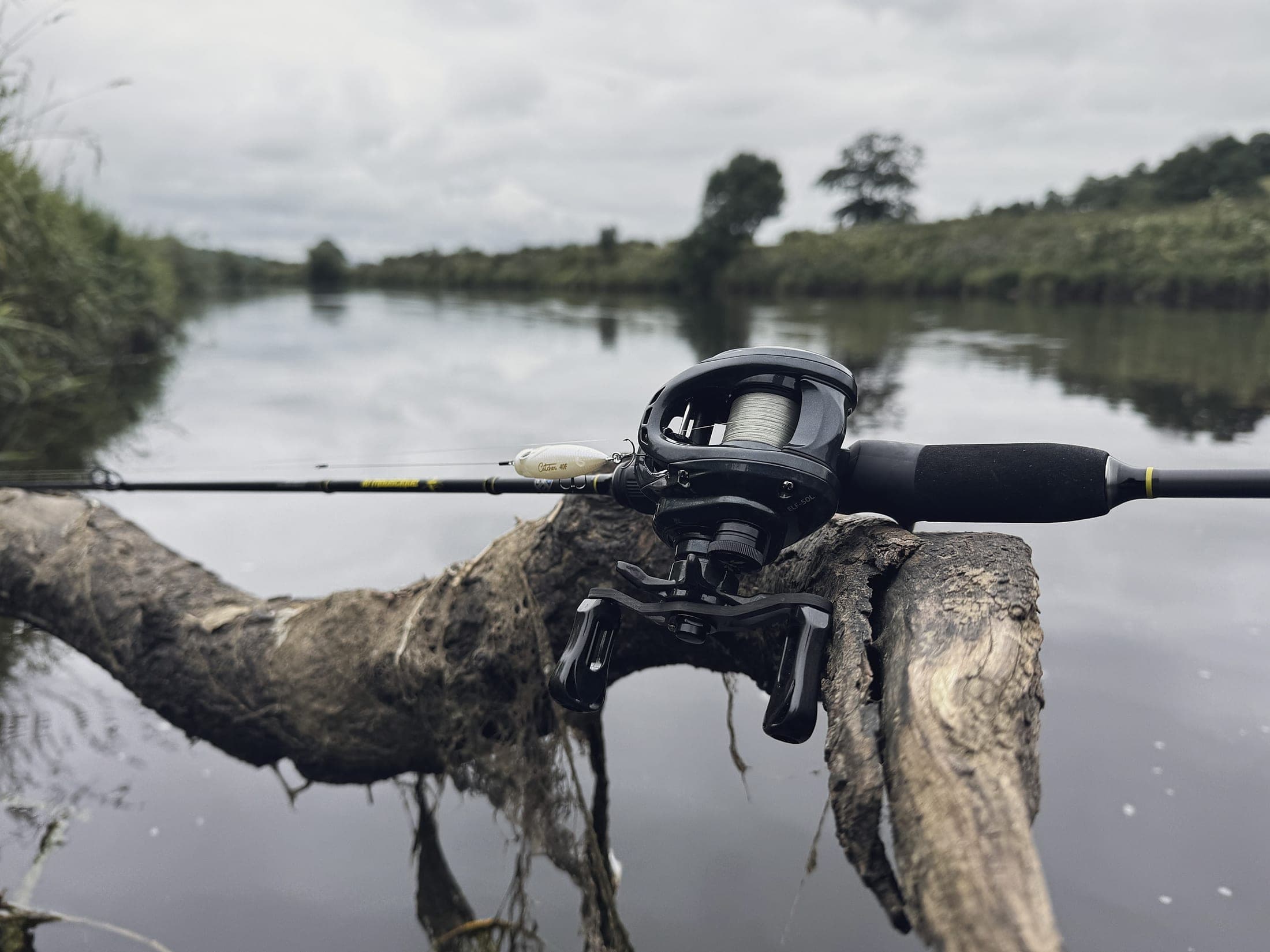 A baitcaster rod and reel resting on a fallen branch above a still river.